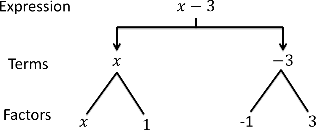 Algebraic Expressions Worksheet For Class 7 MyCBSEguide